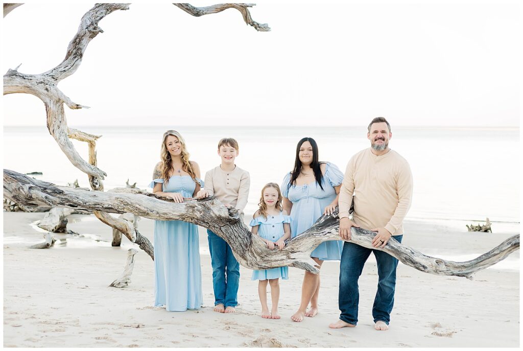 A family framed by organic textures and open space
